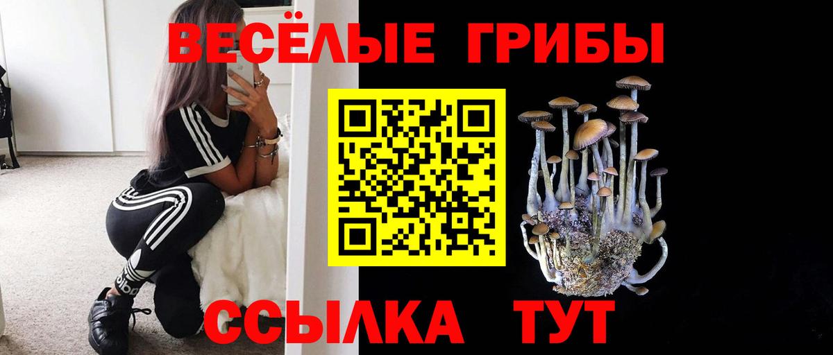 Псилоцибиновые грибы Magic Shrooms  Галлюциногенные грибы Magic Shrooms  Вход с VPN  Черняховск 
